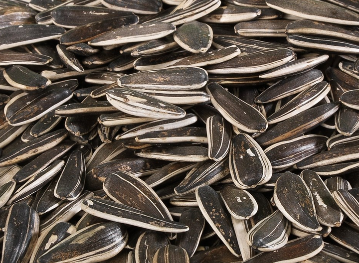 Tuzsuz Çekirdek Siyah 500 gr